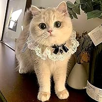 Amazon | TCYYNEK 猫首輪 犬首輪 リボン かわいい首輪 猫くびわ 猫